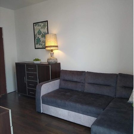 פרוז'קוב Sunny Penthouse With Roof Gardens Overlooking The Warsaw Palace Of Culture מראה חיצוני תמונה