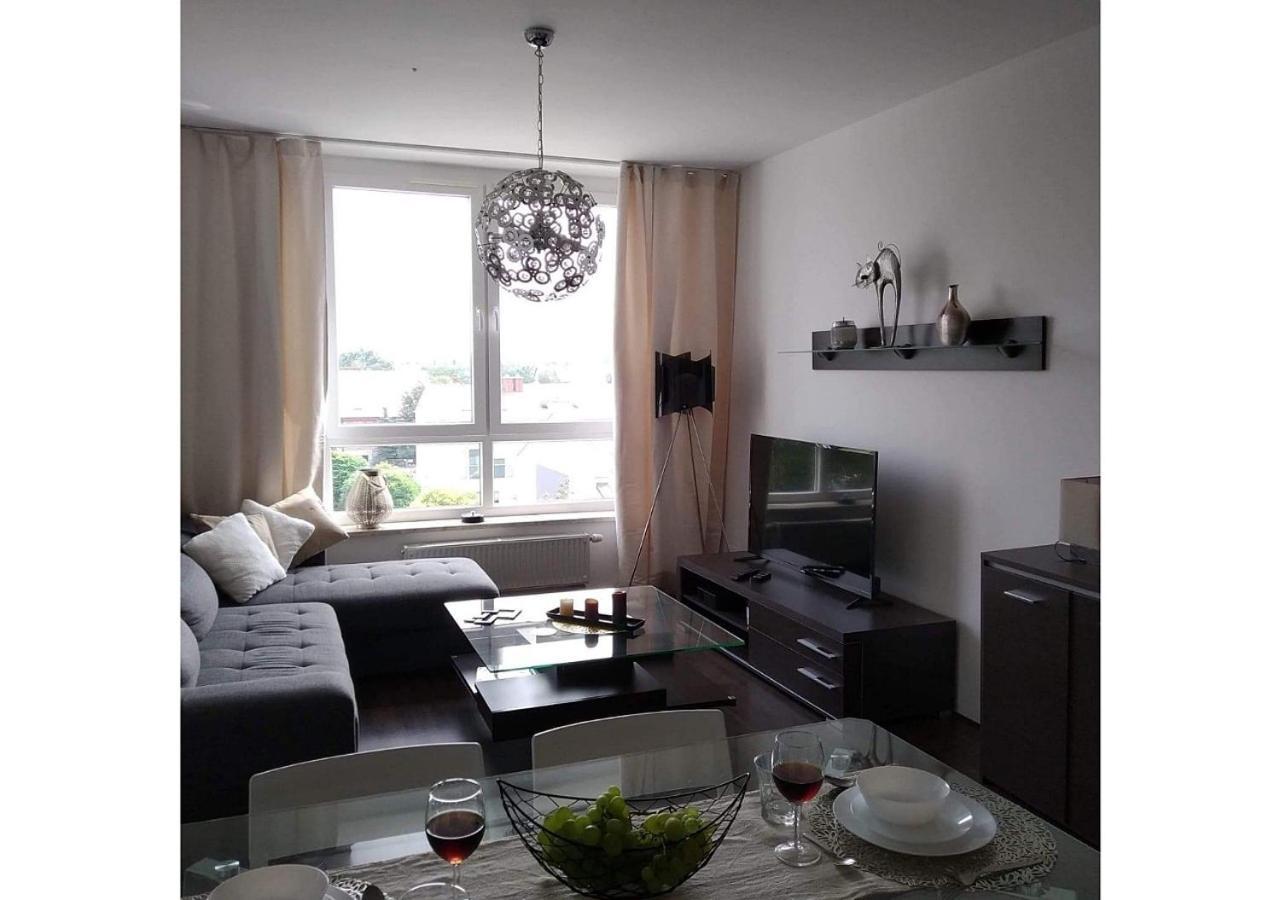 פרוז'קוב Sunny Penthouse With Roof Gardens Overlooking The Warsaw Palace Of Culture מראה חיצוני תמונה
