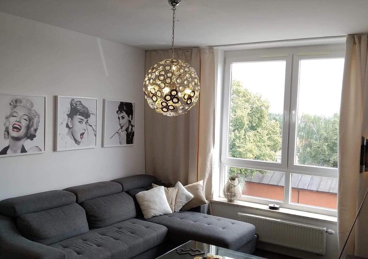 פרוז'קוב Sunny Penthouse With Roof Gardens Overlooking The Warsaw Palace Of Culture מראה חיצוני תמונה