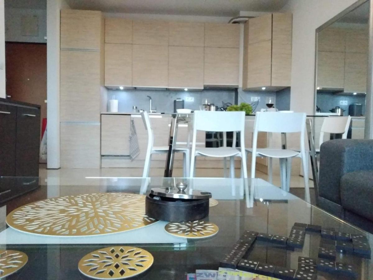 פרוז'קוב Sunny Penthouse With Roof Gardens Overlooking The Warsaw Palace Of Culture מראה חיצוני תמונה
