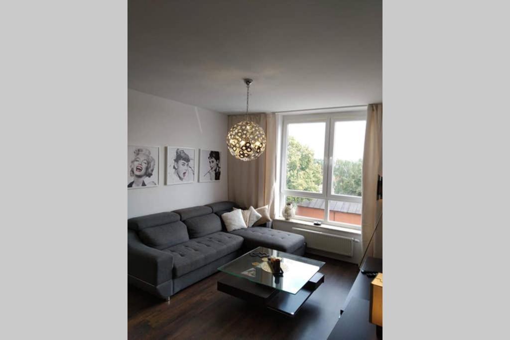 פרוז'קוב Sunny Penthouse With Roof Gardens Overlooking The Warsaw Palace Of Culture מראה חיצוני תמונה