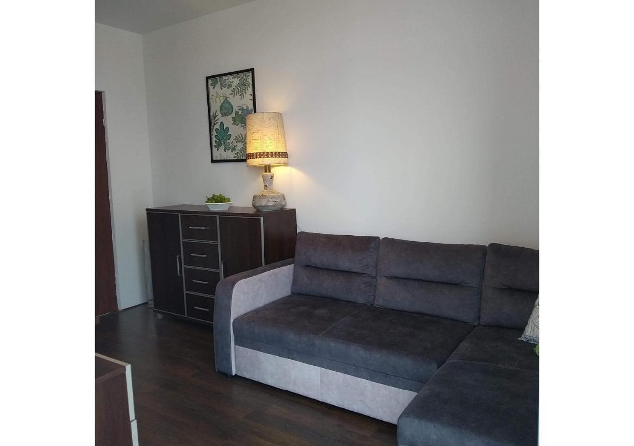 פרוז'קוב Sunny Penthouse With Roof Gardens Overlooking The Warsaw Palace Of Culture מראה חיצוני תמונה