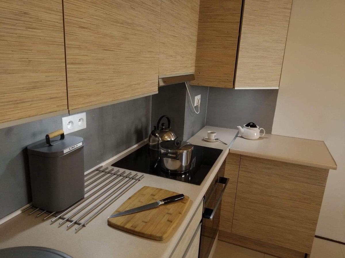 פרוז'קוב Sunny Penthouse With Roof Gardens Overlooking The Warsaw Palace Of Culture מראה חיצוני תמונה