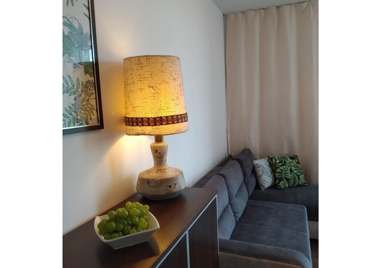 פרוז'קוב Sunny Penthouse With Roof Gardens Overlooking The Warsaw Palace Of Culture מראה חיצוני תמונה